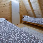 Brvnara Kovacevic Holiday home *