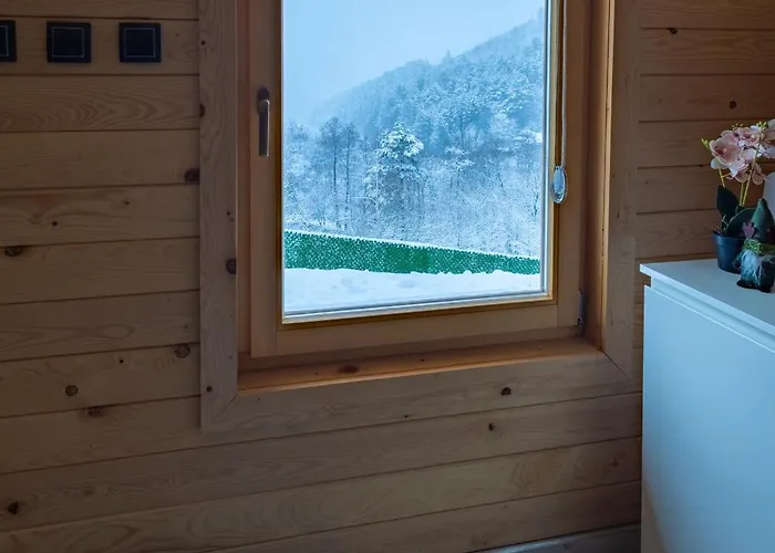 度假居 Brvnara Kovacevic *